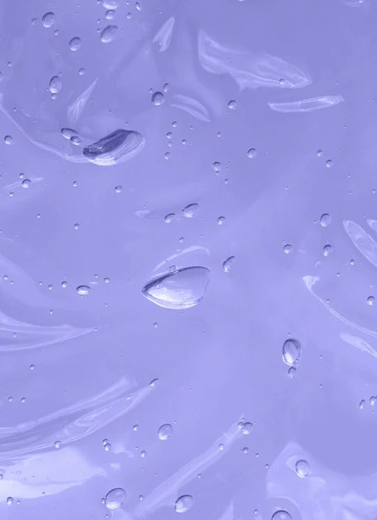 model2.jpg