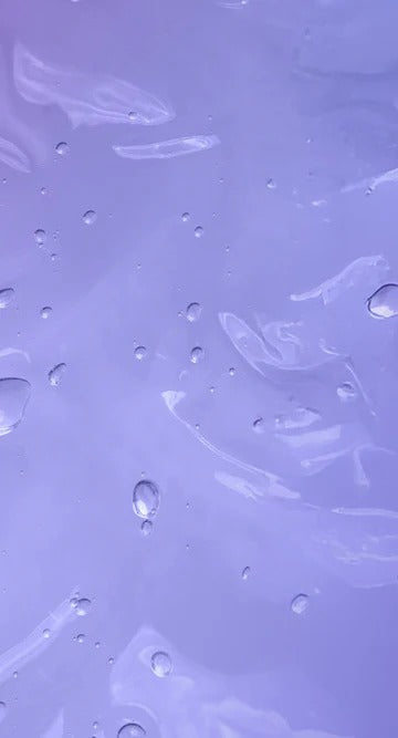 panel3.jpg