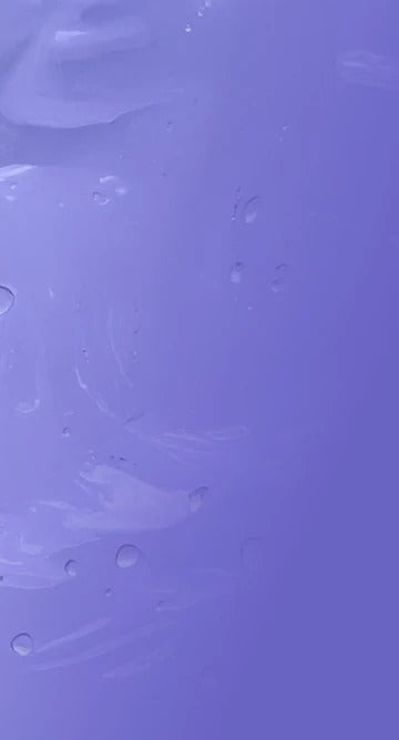 panel4.jpg