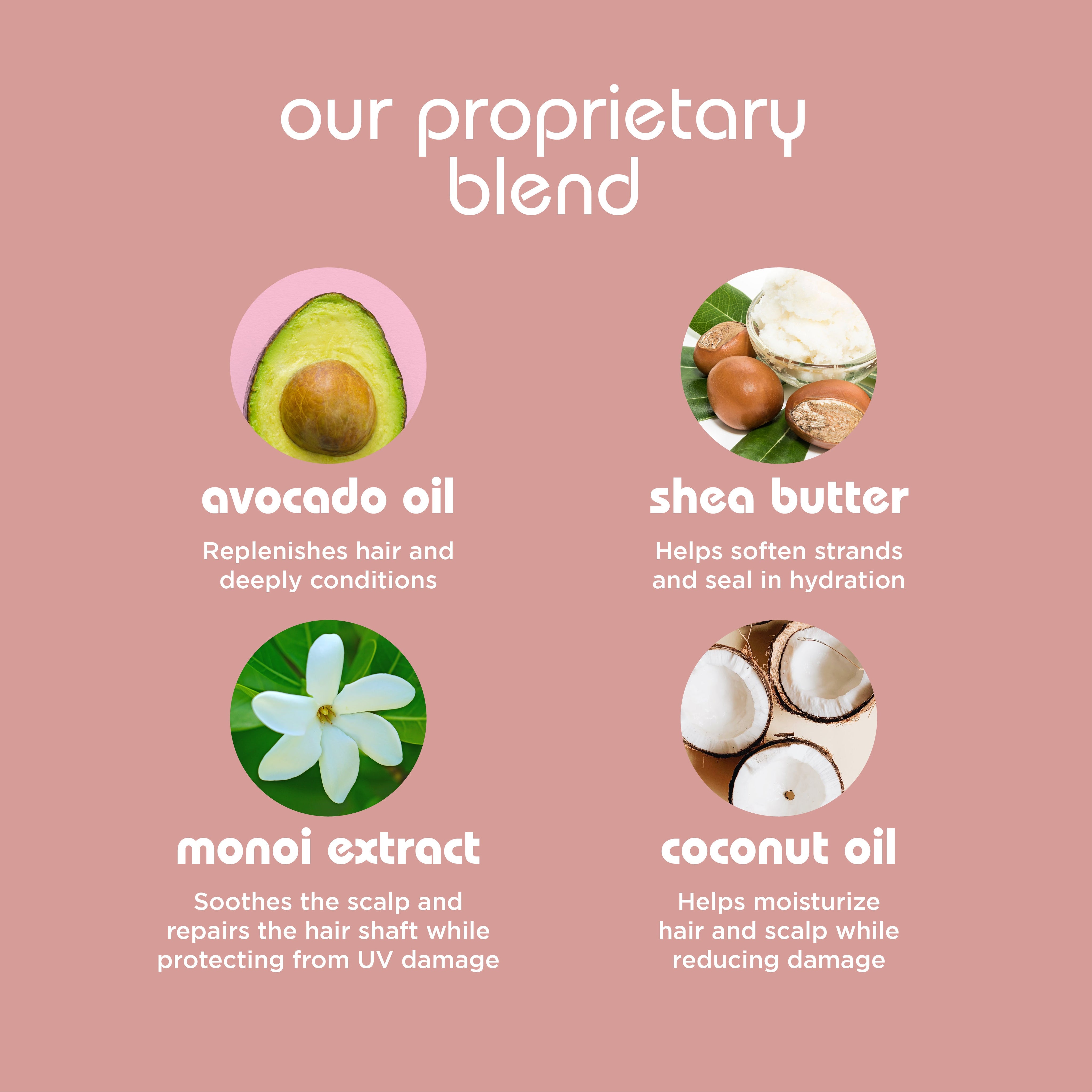 Coilyingredients_21d4b0ee-57cd-4e69-b419-0d49bf1914a5.jpg